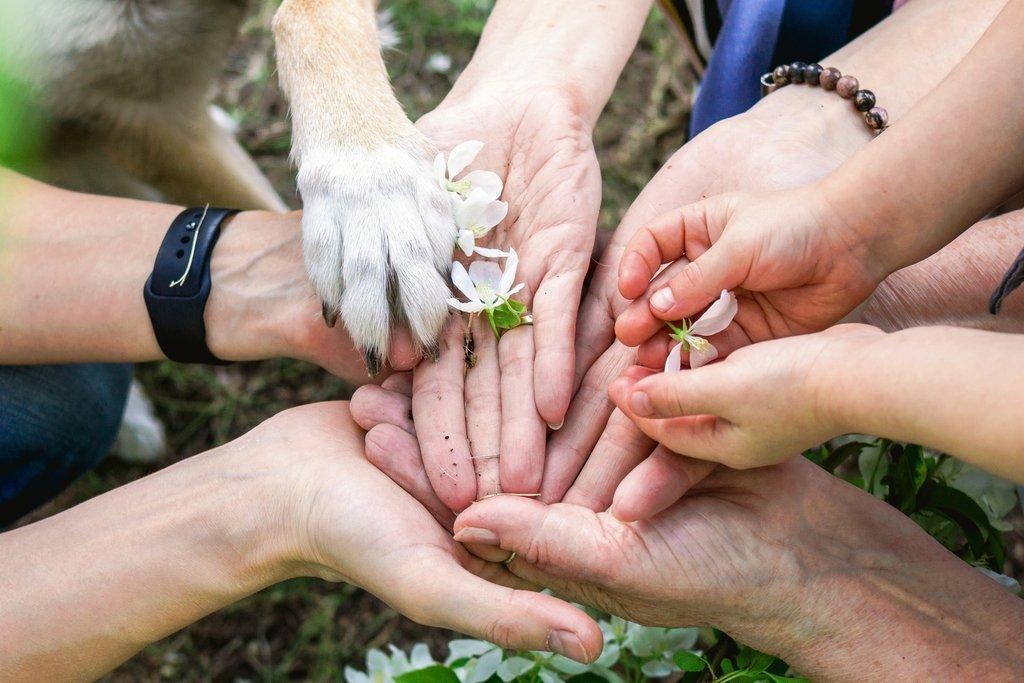 Our Mission and Values